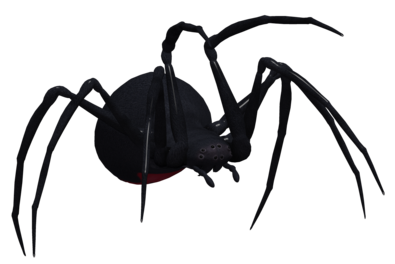 black_widow-crawl-left.png